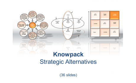 Strategic Alternatives - 36 diagrams in PDF